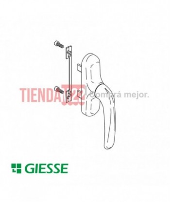 H47-FALLEBA GIESSE PRIMA...