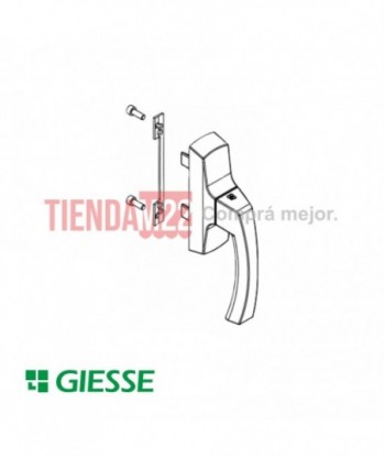 H47-FALLEBA GIESSE ASIA...